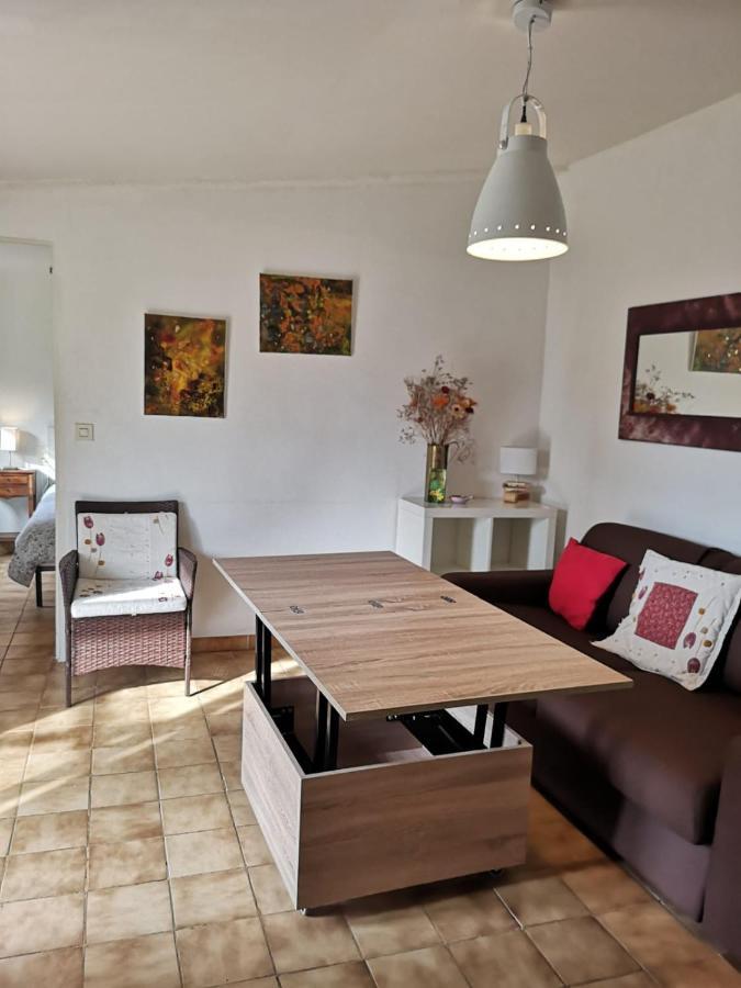 Willa La Petite Seigneurette Villeneuve-lès-Avignon Zewnętrze zdjęcie