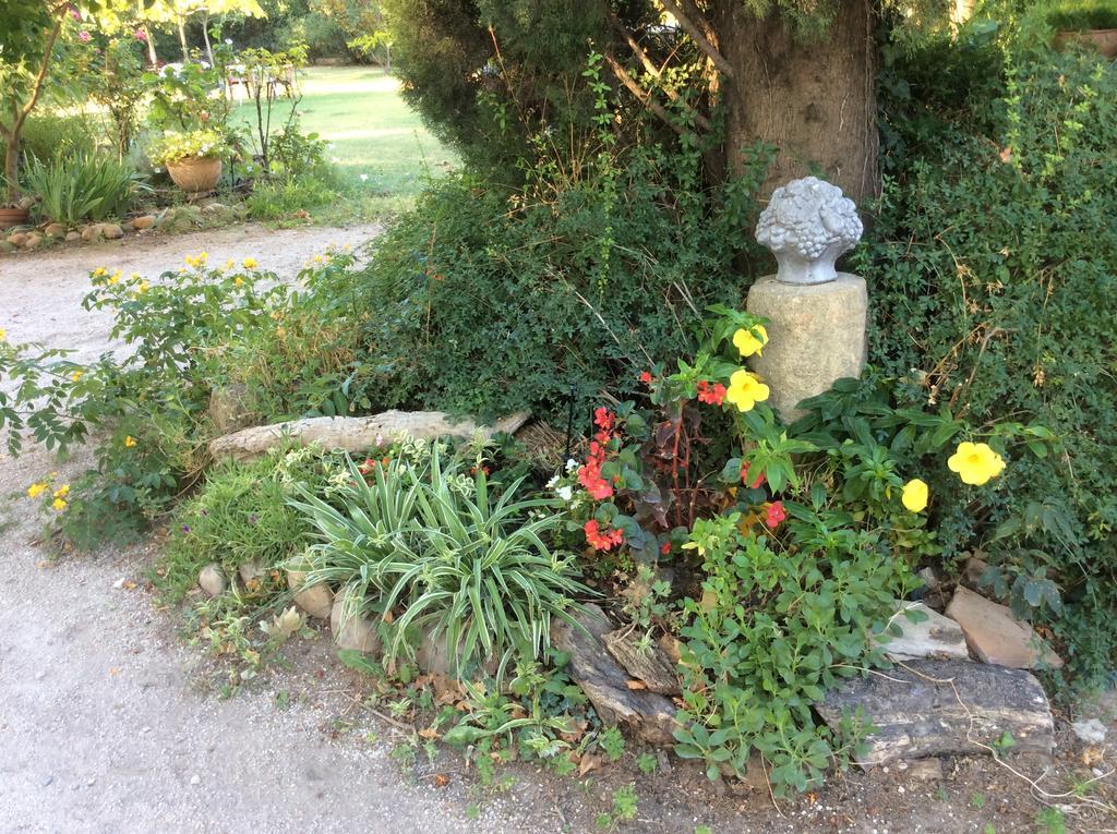 Willa La Petite Seigneurette Villeneuve-lès-Avignon Zewnętrze zdjęcie